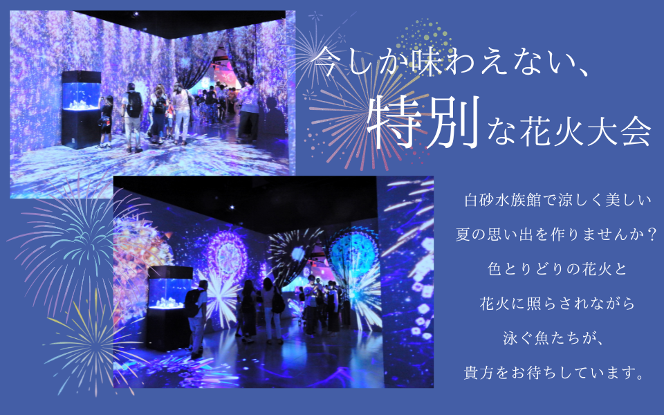 夏のイベント開催中！